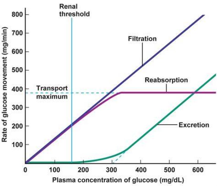 What is the renal plasma threshold for glucose