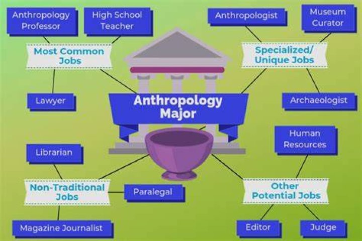 What jobs can you get with cultural anthropology