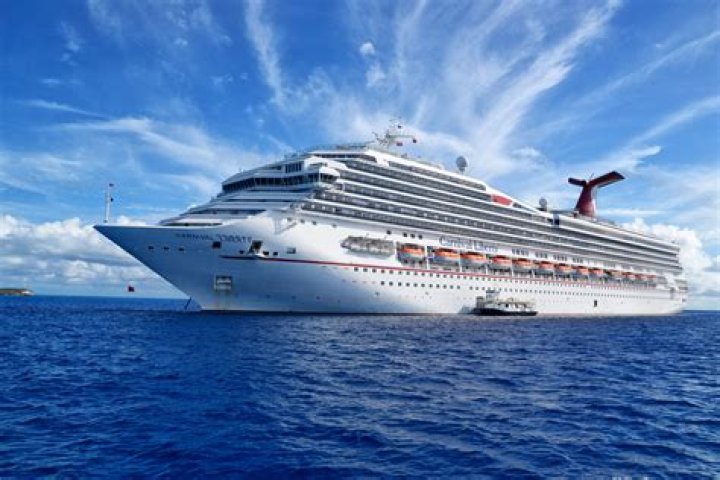 What kind of bed does Carnival Cruise use