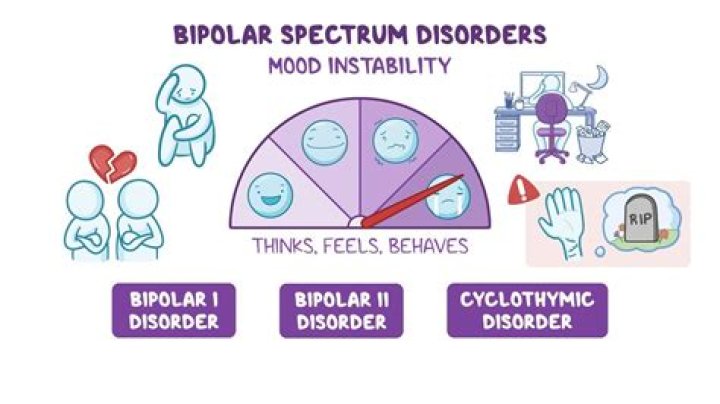 When was bipolar disorder added to the DSM