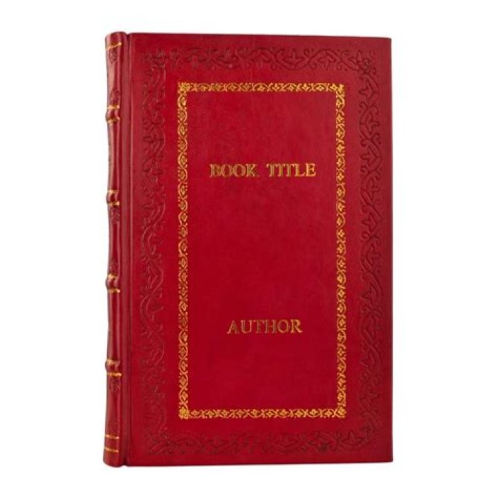 Where does the book Bruiser take place