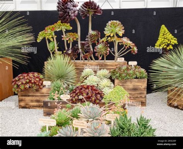 Where should I eat after Chelsea Flower Show