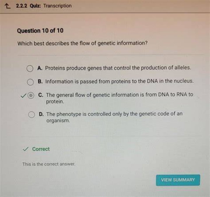 Which best describes the flow of genetic information