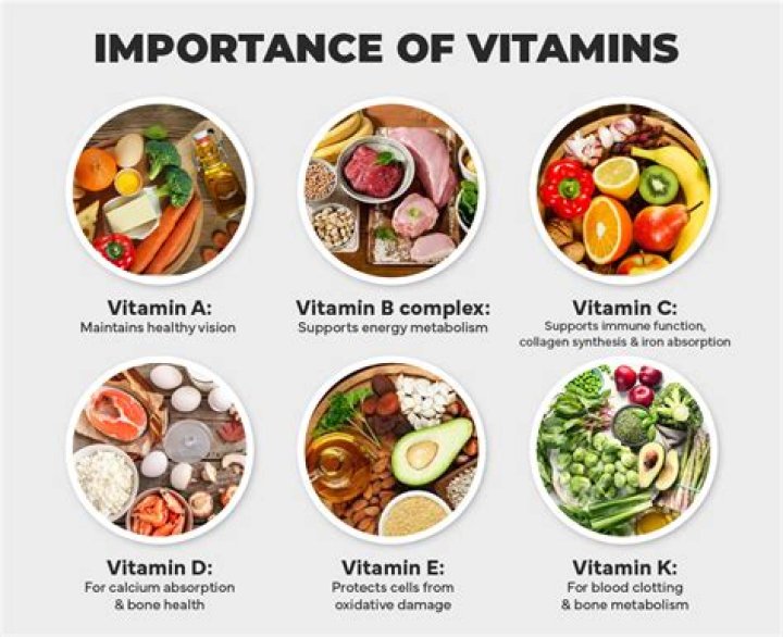 Which food group would best supply your body with vitamins