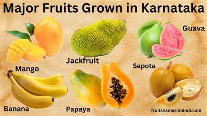 Which fruits grow in Karnataka