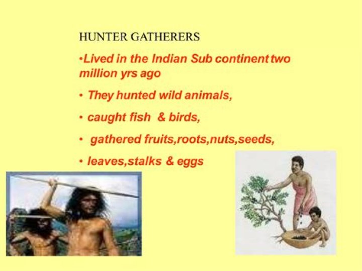 Which is better hunting and gathering or agriculture