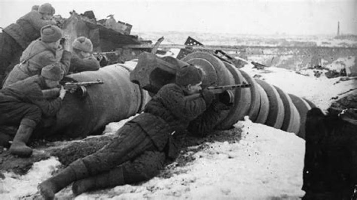 Why did the purges happen in Russia