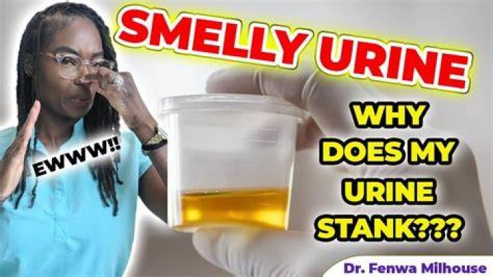 Why does my urine smell like rotten meat